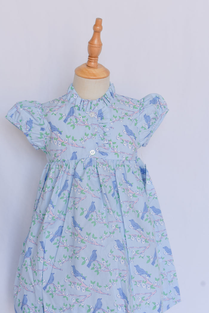 Birdie Dress-Cherry Blossoms