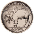 Buffalo Nickel Sign
