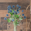 Echinops Spray Blue 25 Inch